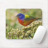 Farbenjagd Mousepad (Mit Mouse)