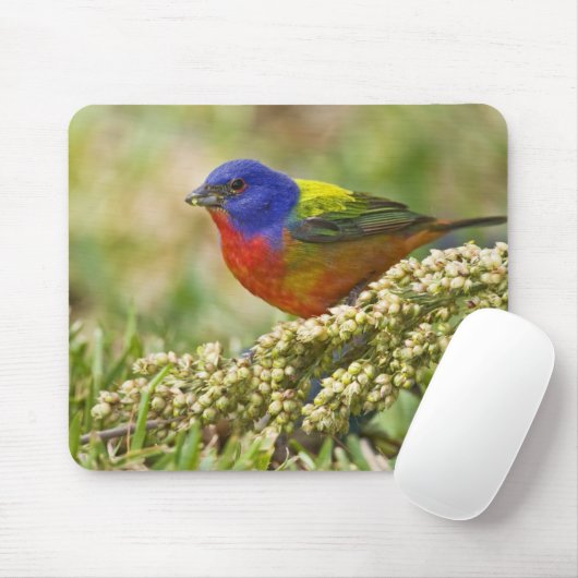 Farbenjagd Mousepad (Mit Mouse)