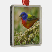 Farbenjagd Ornament Aus Metall (Rechts)