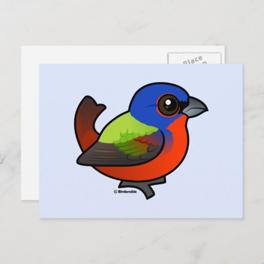 Farbenjagd Postkarte (Vorne/Hinten)