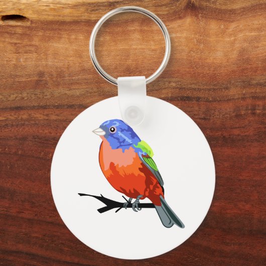 Farbenjagd Schlüsselanhänger (Vorderseite)