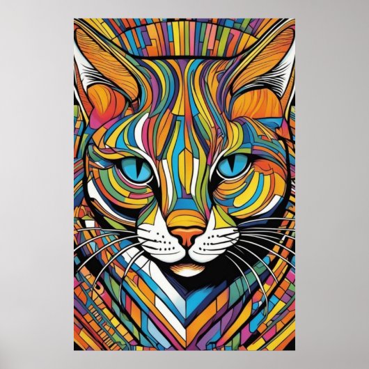 Farbenkater poster (Vorne)