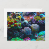 Farbenkoralle Feiertagspostkarte (Vorne/Hinten)