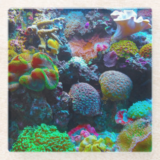 Farbenkoralle Glasuntersetzer