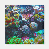 Farbenkoralle Magnet (Vorne)