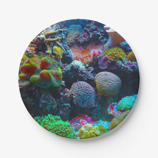 Farbenkoralle Pappteller (Vorderseite)