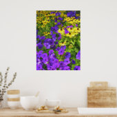 Farbenplakat Poster (Küche)