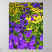 Farbenplakat Poster (Vorne)