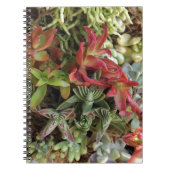 farbenprächtig notizblock (Vorderseite)