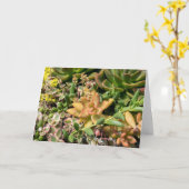 farbenprächtige Pflanze Karte (Gelbe Blume)