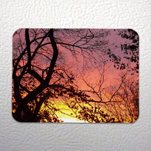 Farbenprächtiger Sonnenuntergang durch kahle Bäume Magnet
