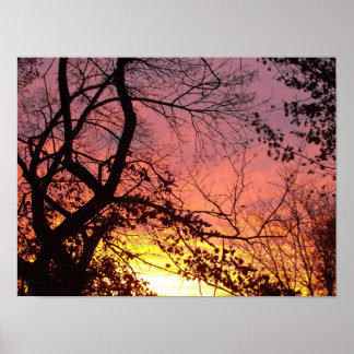 Farbenprächtiger Sonnenuntergang durch kahle Bäume Poster