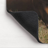 Farbenreicher Rot-und Rost-DobermannPinscher Mousepad (Ecke)