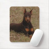 Farbenreicher Rot-und Rost-DobermannPinscher Mousepad (Mit Mouse)