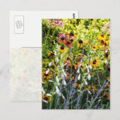 Farbenstoß Postkarte (Vorne/Hinten)