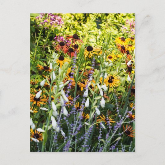 Farbenstoß Postkarte (Vorderseite)