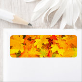 Farbenstoß von Herbstlauben Herbstfarben (Insitu)