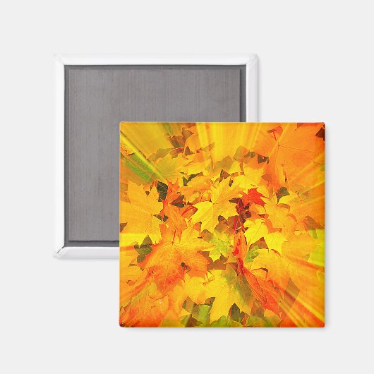 Farbenstoß von Herbstlauben Herbstfarben Magnet (Vorderseite/Rückseite)