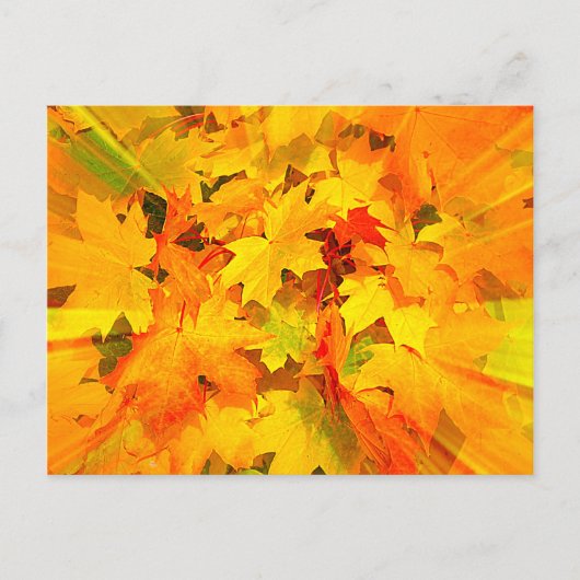 Farbenstoß von Herbstlauben Herbstfarben Postkarte (Vorderseite)