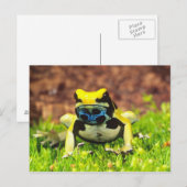 Färberfrosch, Dendrobates tinctorius, Postkarte (Vorne/Hinten)