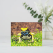 Färberfrosch, Dendrobates tinctorius, Postkarte (Stehend Vorderseite)