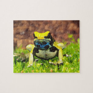 Färberfrosch, Dendrobates tinctorius, Puzzle