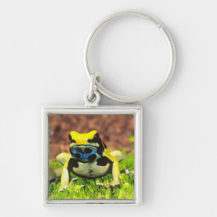 Färberfrosch, Dendrobates tinctorius, Schlüsselanhänger
