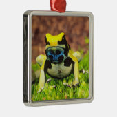 Färberfrosch, Dendrobates tinctorius, Silbernes Ornament (Rechts)