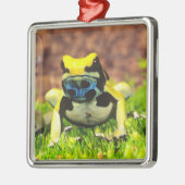 Färberfrosch, Dendrobates tinctorius, Silbernes Ornament (Links)