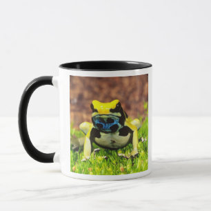 Färberfrosch, Dendrobates tinctorius, Tasse