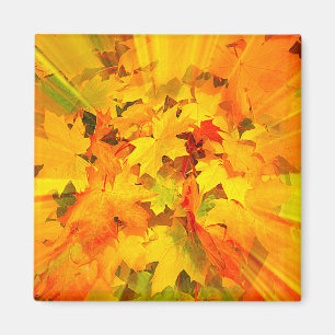 Farbexplosion der Herbstlaub-Herbst-Farben Magnet