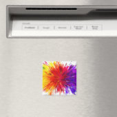 Farbexplosion Magnet (In Situ (Geschirrspüler))