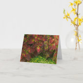 "FARBFARBEN" (FOTOG) KARTE (Gelbe Blume)