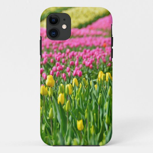 Farbfelder Case-Mate iPhone Hülle (Rückseite)