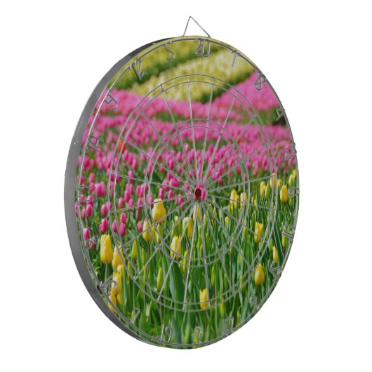 Farbfelder Dartscheibe (Vorderseite Links)