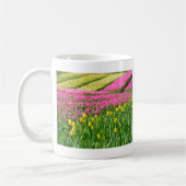 Farbfelder Kaffeetasse (Links)