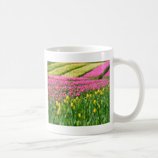 Farbfelder Kaffeetasse (Rechts)