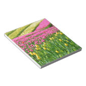 Farbfelder Notizblock (angewinkelt)