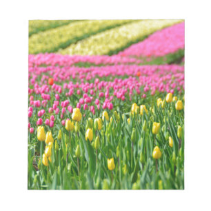 Farbfelder Notizblock