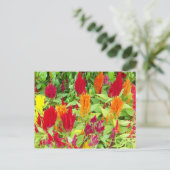 FARBFLÄCHE #1 POSTKARTE (Stehend Vorderseite)