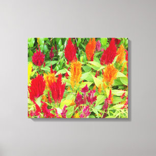 FARBFLORA #1 LEINWANDDRUCK