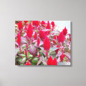 FARBFLORA #2 LEINWANDDRUCK (Vorderseite)