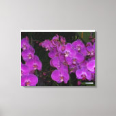 FARBFLORA #3 LEINWANDDRUCK (Vorderseite)