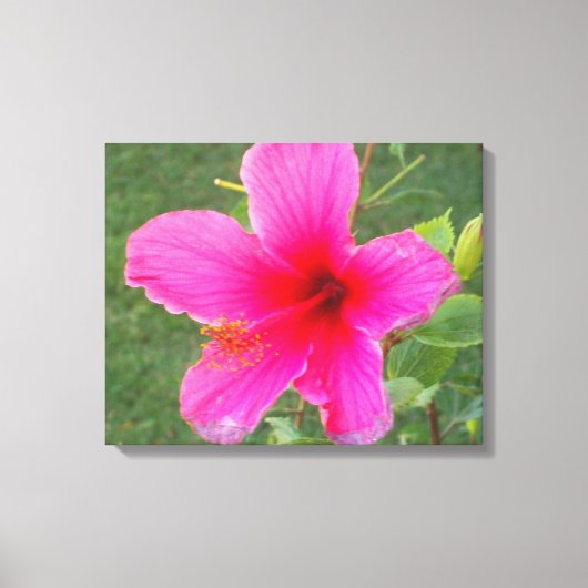 FARBFLORA #5 LEINWANDDRUCK (Vorderseite)