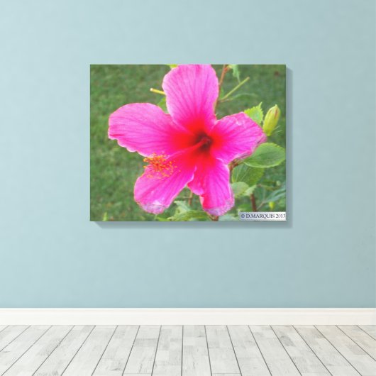 FARBFLORA #5 LEINWANDDRUCK (Insitu (Holzboden))