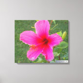 FARBFLORA #5 LEINWANDDRUCK (Vorderseite)