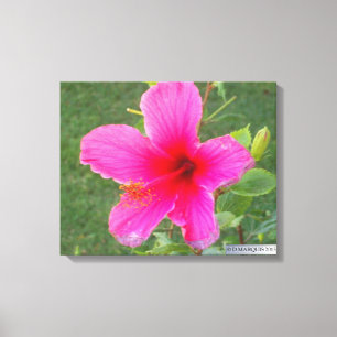 FARBFLORA #5 LEINWANDDRUCK