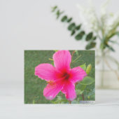 FARBFLORA #6 POSTKARTE (Stehend Vorderseite)