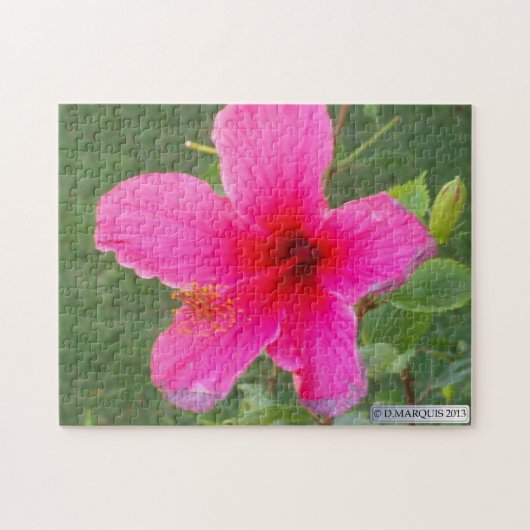 FARBFLORA#6 PUZZLE (Horizontal)