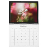 Farbfotografie-Kalender 2010 Kalender (Mär 2027)